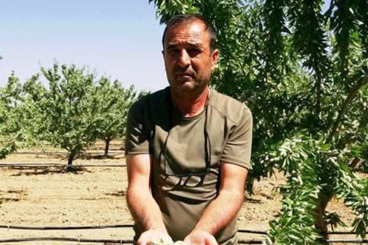 He started out of curiosity 16 years ago in Kayseri! Now he owns 20 thousand trees.