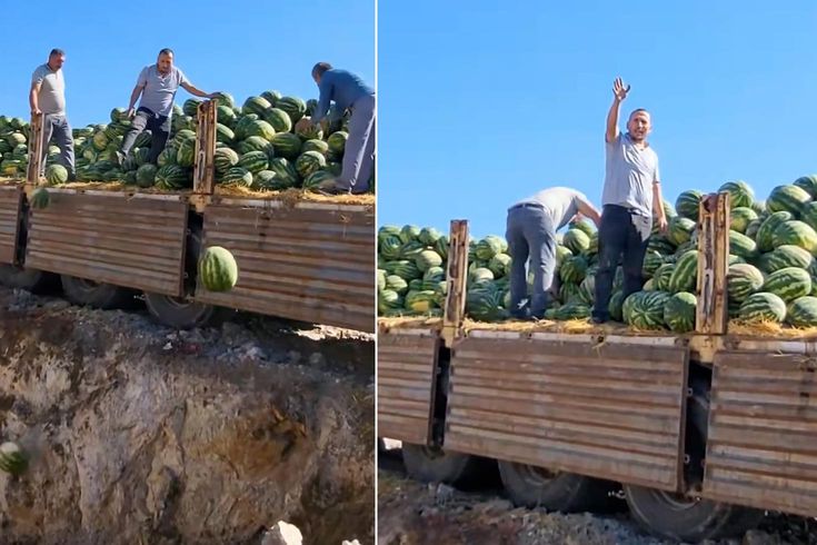 It broke the hearts of those who saw it! They dumped tons of it into the landfill.
