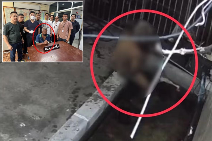 Komşusunun balığına istismarda bulundu! Verdiği ifade polisleri bile şaşkına çevirdi