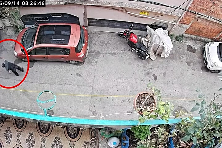 Bursa'da tepki çeken görüntü! Kucağındaki kediyi kafasından tutup yere vurdu