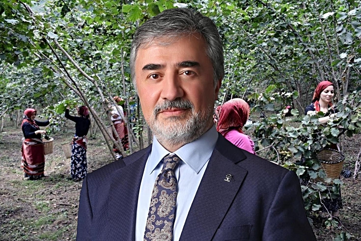 Hamarat’tan ihracatçı ve tüccarlara fındık fiyatı çağrısı: Üreticinin emeğini gözetin