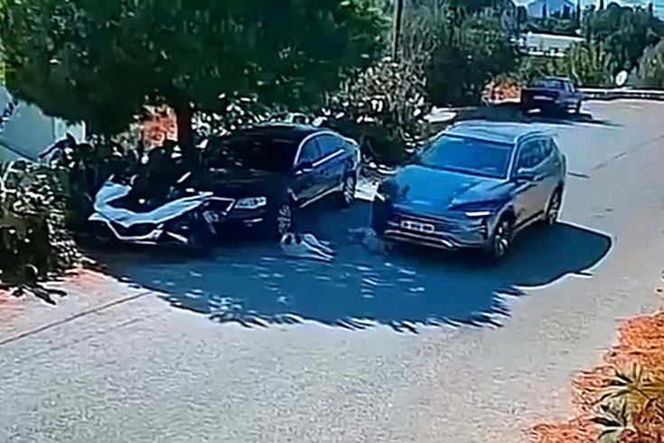 Bodrum'da 2 köpeğin üzerinden geçip giden sürücünün izi bulundu! Ankara'da olduğu tespit edildi