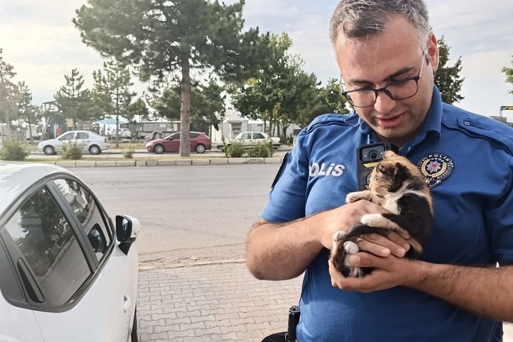 Beyşehir'de motorda mahsur kalan yavru kedi için seferberlik! Onu cep telefonundan açılan kedi sesi kurtardı