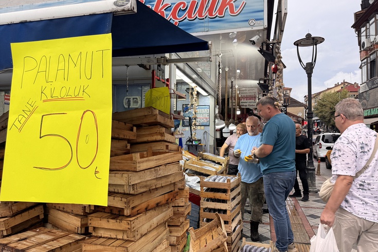 Karadeniz'de palamut bereketi! Bartın'da tezgahta tanesi 50 liraya düştü