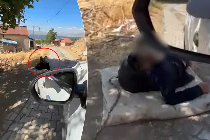 Yaşlı adamı ellerini zincirleyip ağaca bağladılar