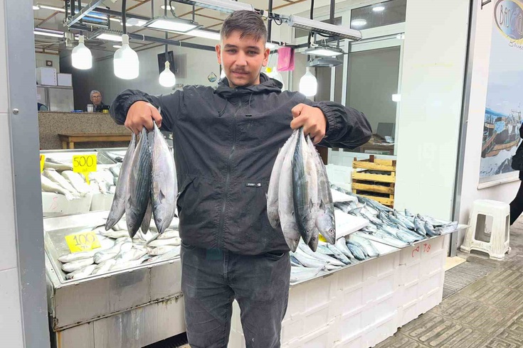 Sinop'ta palamut bereketi! Tezgahlarda fiyatı 50 liraya kadar geriledi