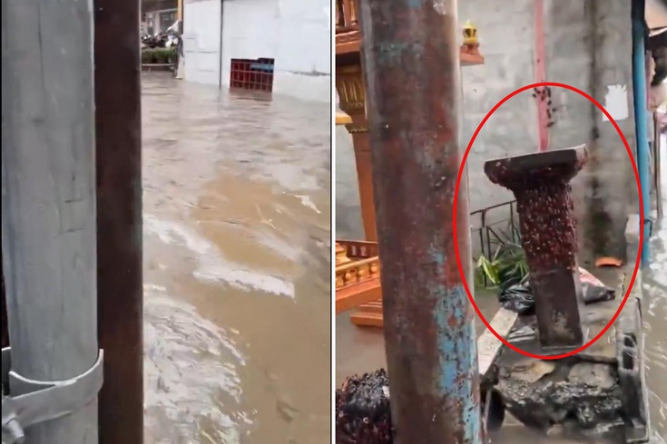 Tayland'da kabus görüntüleri: Sel suları binlerce hamam böceğini sokağa döktü