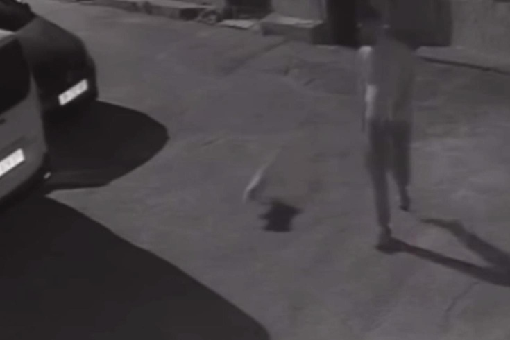 İzmir'de köpeğini tekmeleyen şahıs gözaltına alındı! Vicdanları yaralayan görüntü