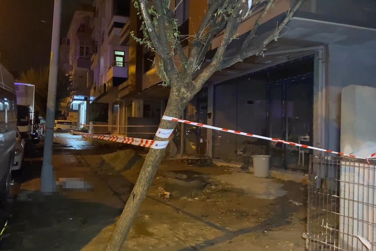 Küçükçekmece'de aydınlatma direğinin yanında akıma kapılan köpek öldü! Kurtarmaya çalışan sahibi de çarpıldı
