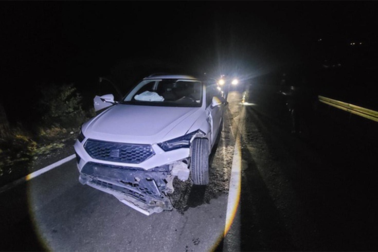 Tunceli'de cipin önüne bir anda çıktı! Ayı çarpmanın etkisiyle öldü