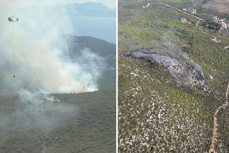 Bodrum'da orman yangını! 2 uçak, 6 helikopter ve 102 personelle müdahale