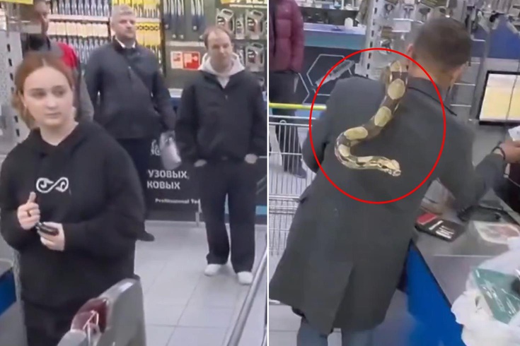 Mağazaya pitonuyla girdi! Kaç yılanın var sorusuna bomba bir yanıt verdi