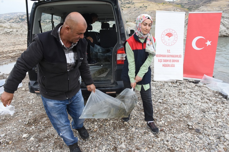 Malatya'daki iki baraj gölüne 800 bin yavru balık bırakıldı