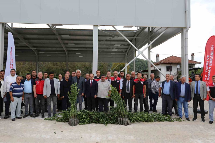 Muğla'da üreticilere 36 bin 601 defne fidanı