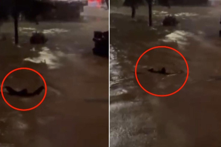 في ساريير، سبح في الشارع الذي تحوّل إلى بحيرة لكي لا يجرفه التيار.
