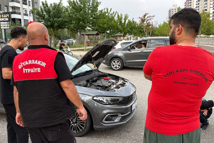 Diyarbakır'da otomobilin kaputuna yılan girdi! İtfaiyenin çıkaramadığı yılanı vatandaşlar çıkardı