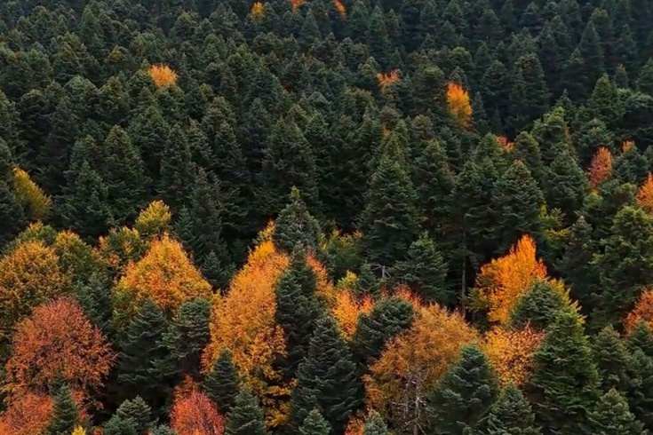 Bolu'daki Gölcük Tabiat Parkı çevresinde sonbahar manzarası dronla kaydedildi