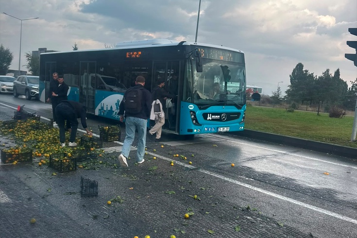 Erzurum'da dökülen mandalinalar toplandı