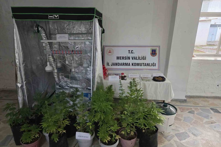 Anamur'da jandarma operasyonu: 51 hint keneviri ele geçirildi, 2 gözaltı