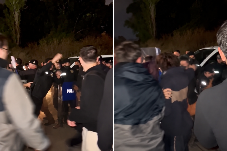 Dogs were rounded up at Ege University at midnight! Animal lovers are outraged