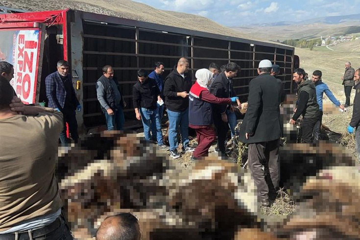 Kışlak yolculuğu faciayla bitti! Tüm serveti yok oldu