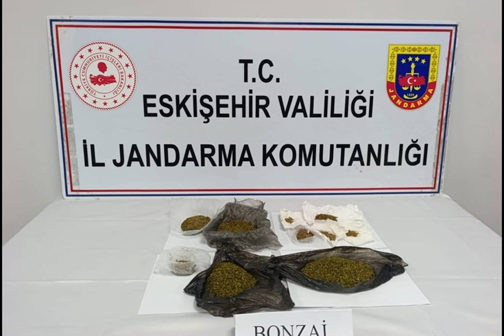 Odunpazarı'nda araçta 174 gram bonzai bulundu, şüpheli tutuklandı