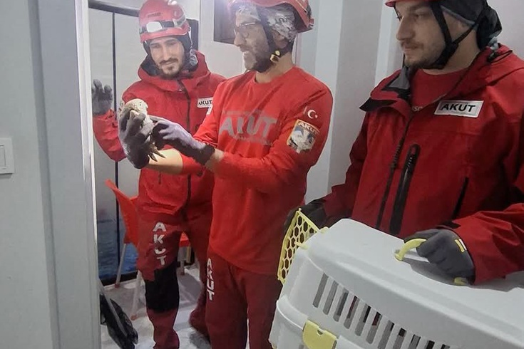 Döşemealtı'nda havalandırmada sıkışan baykuş AKUT'un müdahalesiyle kurtarıldı
