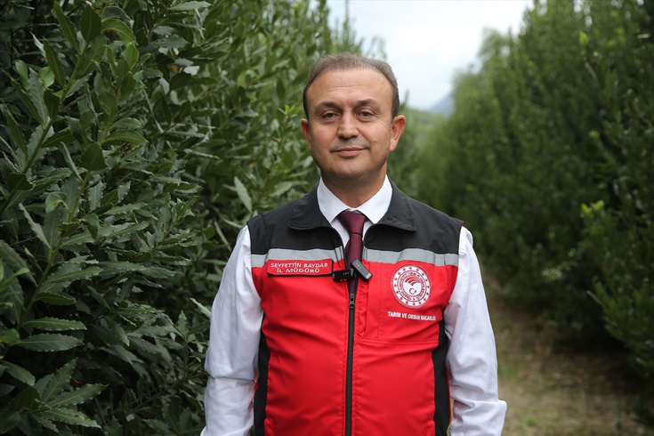 Muğla'nın su ürünleri ihracatı 9 ayda 630 milyon doları aştı