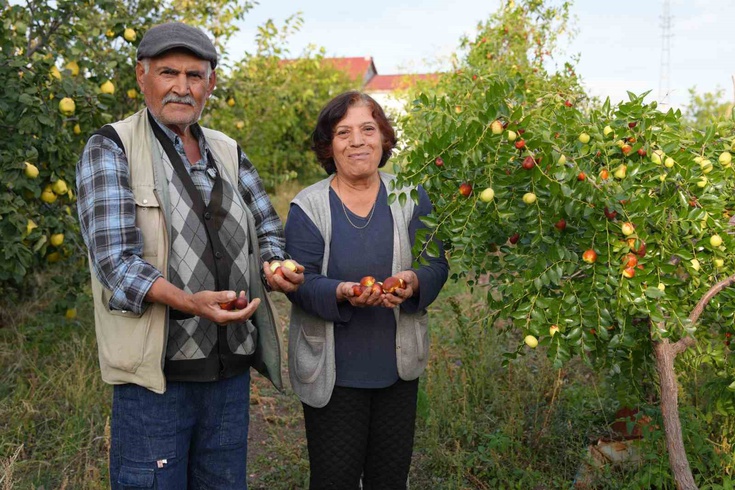 Çubuk'ta Emekli Öğretmenden 300 Hünnap