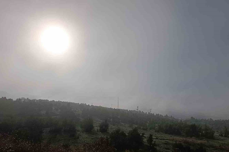 Doğu Anadolu'da Sis Ulaşımı Aksattı