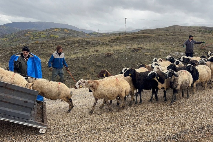 Erzincan'da Şavaklı üreticiler yaylayı halayla uğurladı