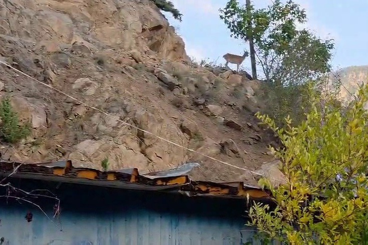 İspir'de dağ keçileriyle kurulan dostluk görüntülendi