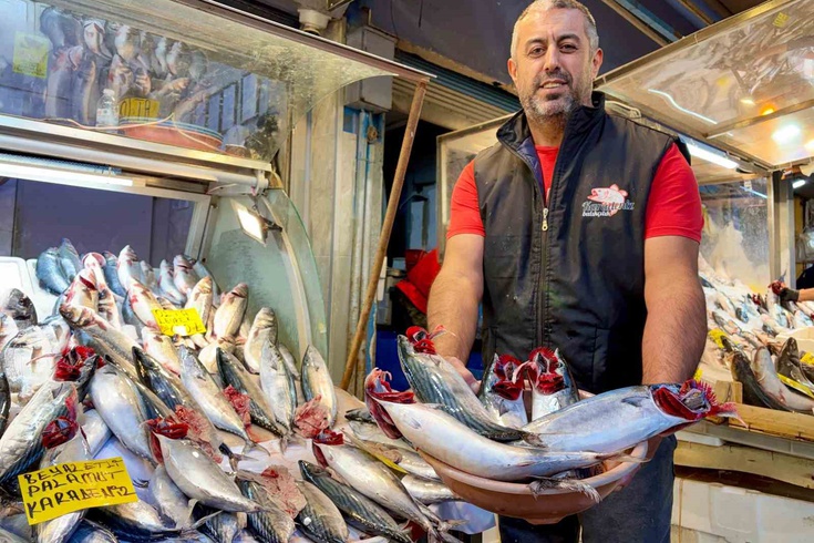 İzmir'de palamut bolluğu tezgahlara yansıdı