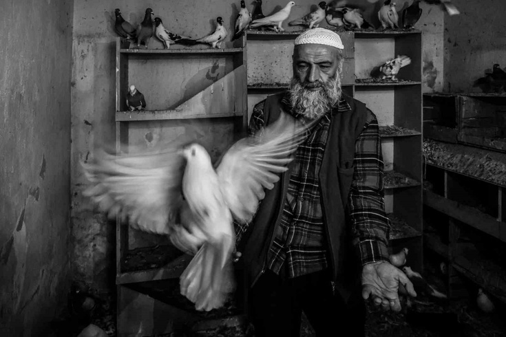 Ismail Aybey'den Guri Yarışması'nda yeri