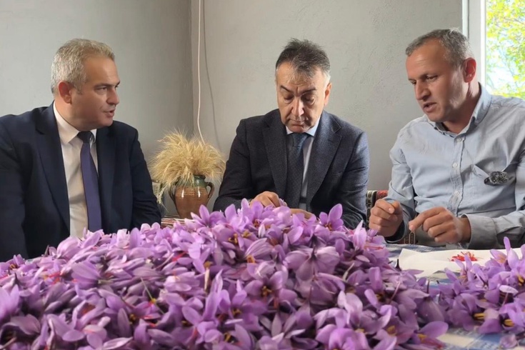 Saffron harvest continues in Safranbolu! It has been offered for sale at 800 thousand TL per kilogram.