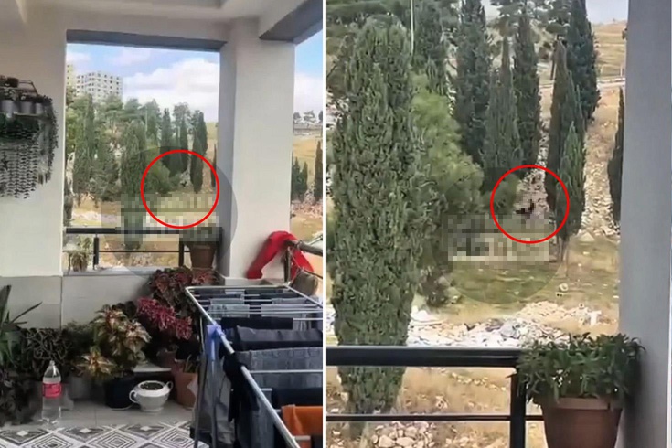 إحدى ولاياتنا تتحدث عن هذه الحادثة! لقد مارسوا الجنس في وضح النهار