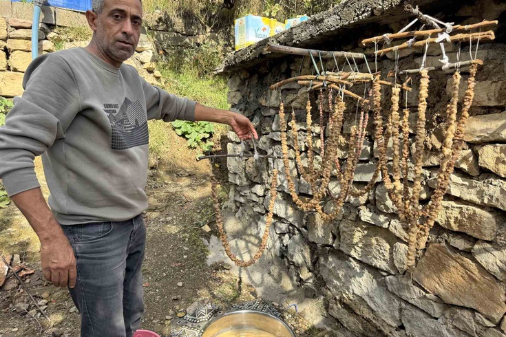 Diyarbakır Çermik'te Bağ Bozumuyla Pestil Üretimi Başladı