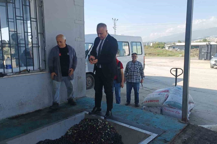 İl Müdürü Türkmen zeytinyağında doğru hasadın önemini vurguladı