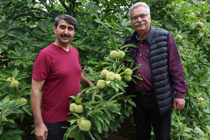 Bin 200 rakımda yetiştirdiği ‘Hacı Ömer’in kilosu 500 TL’den satıyor