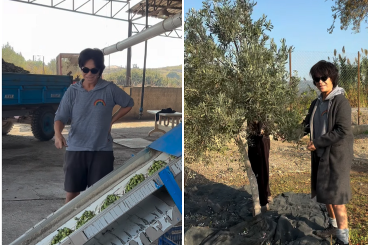 Filiz Taçbaş, who took a break from acting, settled in Foça; she began the olive harvest.