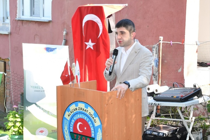 Alaçam'da zeytin hasadı ve fidan dağıtımı planlandı