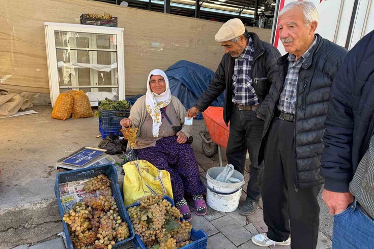 Çivril'de Koçak üzümü 75-100 liradan satılıyor