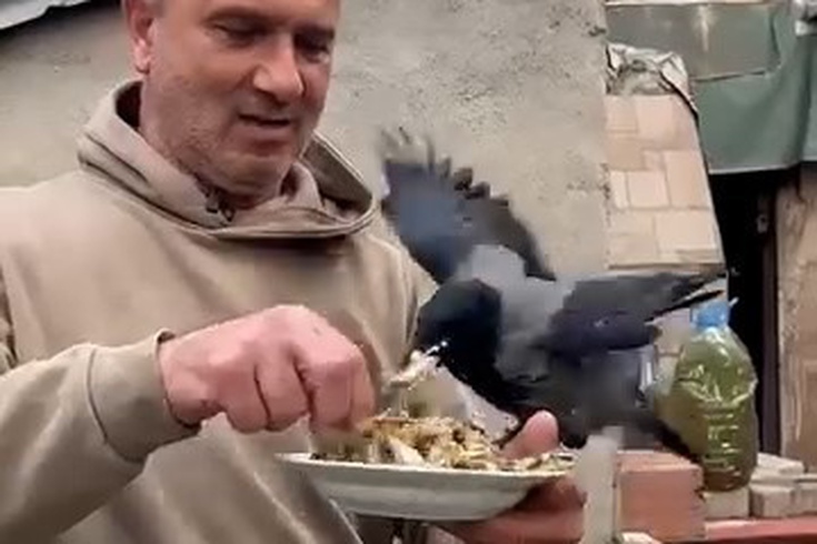 Körfez'de Şoförün Karga Dostluğu