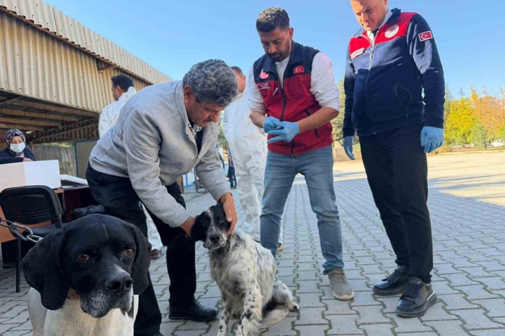 Afşin'de 230 hayvana kuduz aşısı uygulandı