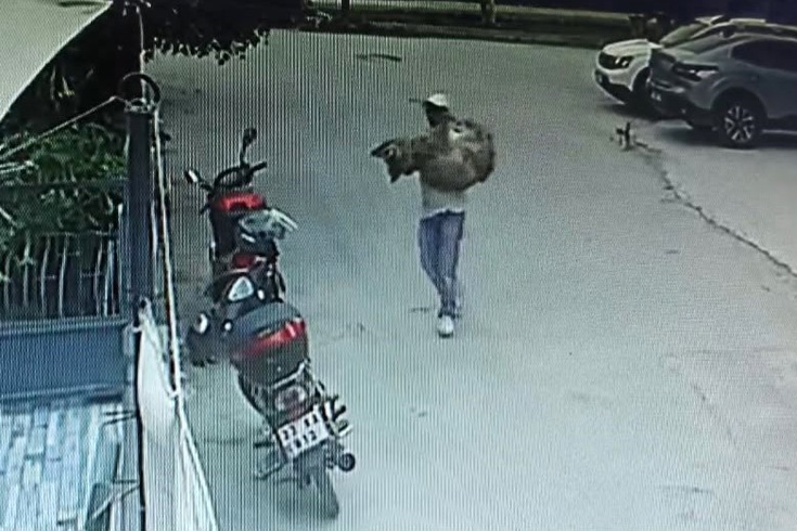 Dog Kanka, who was run over by a car in Silifke, could not be saved! The 3 people who got out of the vehicle left the scene.