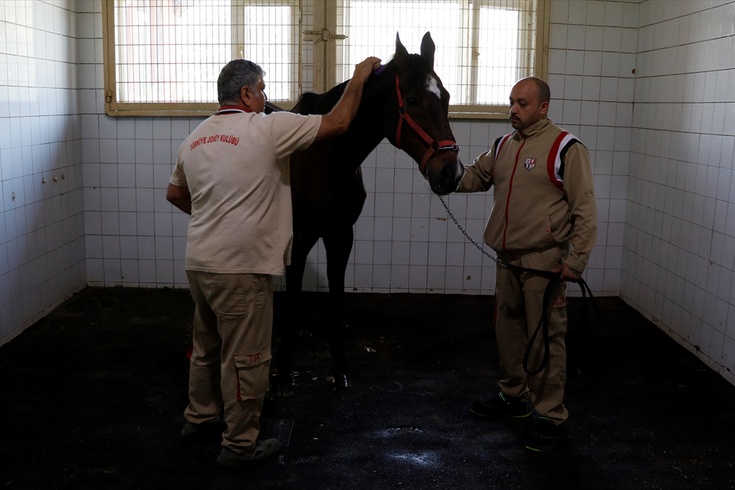 Victory Gallop İzmit'te emekli oldu