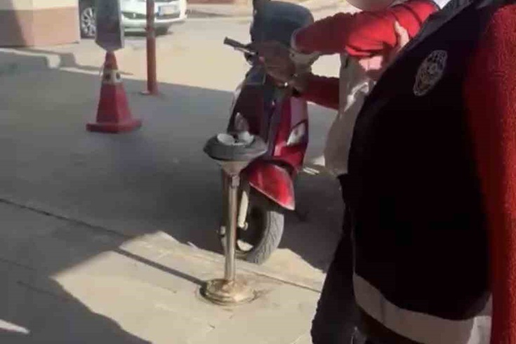 Adıyaman'da çöpte yemek yiyen kediye taşla vuran kadın yakalandı! Adliyeye sevk edildi