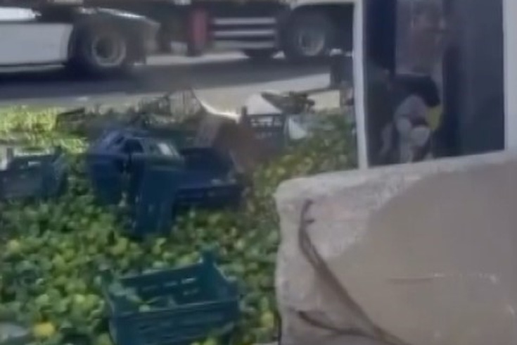 Nurdağı'nda Mandalina Yüklü Kamyon Devrildi