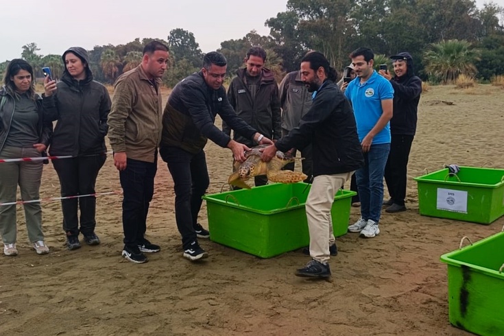 Dikkat çeken haber: İzmir'de 4 caretta caretta doğaya döndü