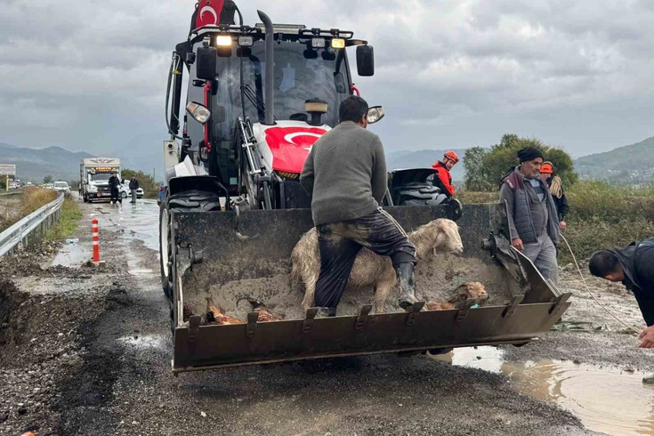 Muğla Dalaman'da Tersakan Çayı taştı! İlçe sular altında, mahsur kalanlar botlarla kurtarılıyor